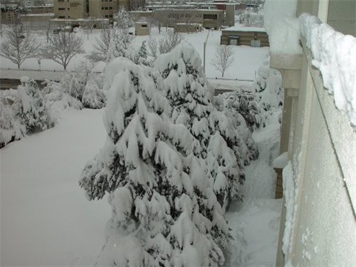 Я вам ещё Колорадо принесла - 3