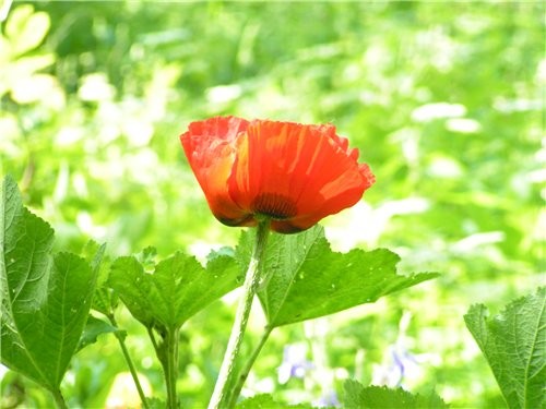 ,   ,   ,    : ,   ,  ...