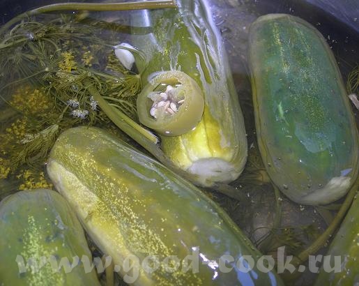 Угощайтесь ,девоньки, Гогурцами малАсольными,вчерась заделала,сегодня уже просолились в меру