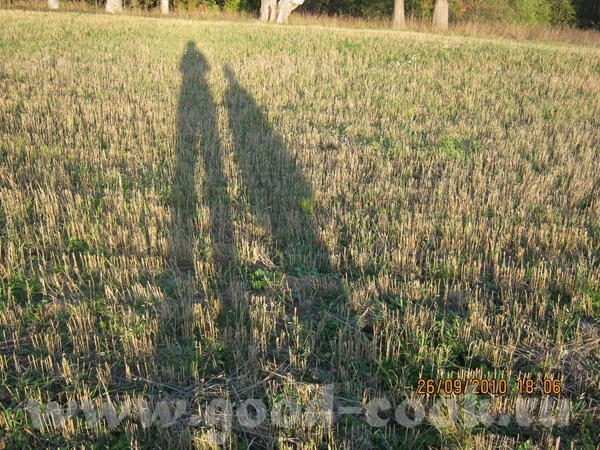 Погода была хорошая, много гуляли