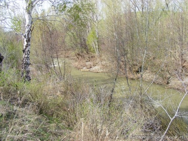 Выкладываю фотоотчет с поездки на шашлыки 22 апреля - 8