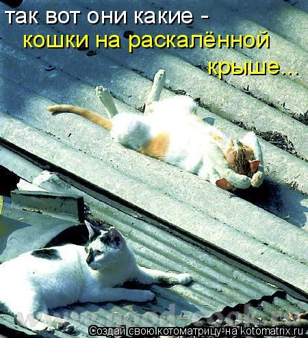 Кормить не буду ,буду поить выпила