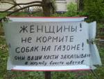 Думаю, что всем понравится или хотя бы немного юлыбнёт ))