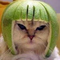 Немного полазив по бесконечной паутине интернета, нашёл весьма забавные картинки