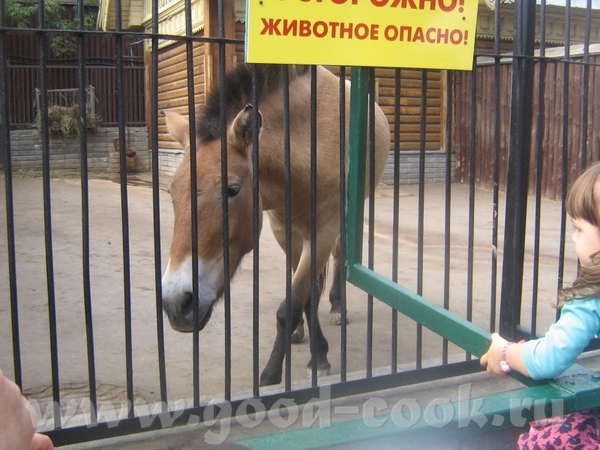 А это маленькие - 4