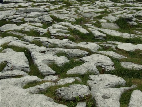 T Poulnabrone Megalithic Tomb - 3