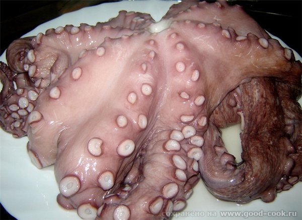 Pulpo еn salsa Осьминог под соусом На 4 порции: 1 кг осьминога, 1 маленькая луковица , 3 средние картофелины, 1-2 лавр... - 2