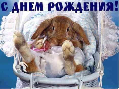 ОЛЮШКА, В преданьи старом говорится: Когда родился человек - Звезда на небе загорится, Чтобы светит...