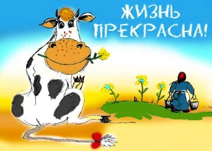 eshba Вот зашла в твою новую темку