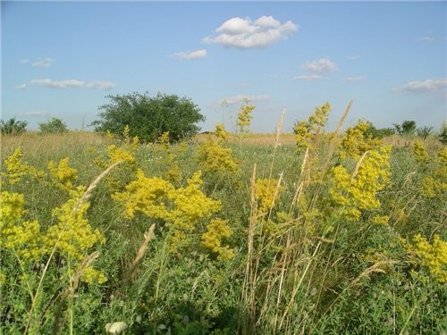 ,     ,          - 2