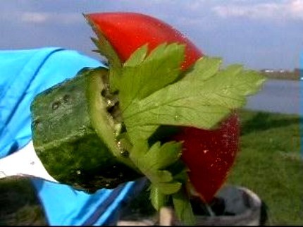 Я только один раз мариновала шашлыки - 2