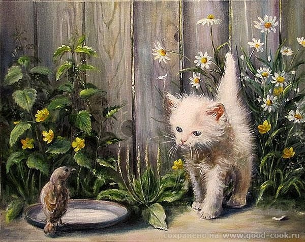 ...котенок...