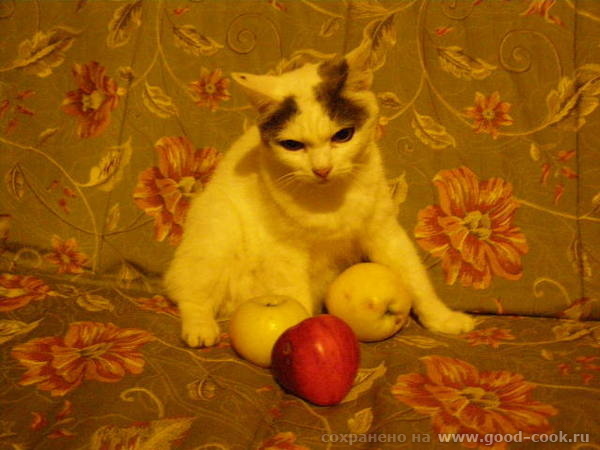 ,      - ,     , ,   (  )