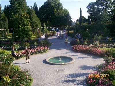 а Потом поехали на маленький но красивый остров Mainau с пальмами с бабочками И поздно вечером прие... - 3