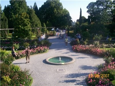         Mainau        ... - 3