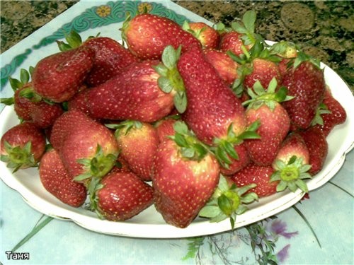 Девчата,как у вас все вкусно,аппетитно - 9