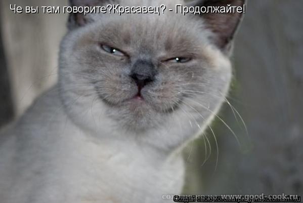 подброшу и я УМНИЦА