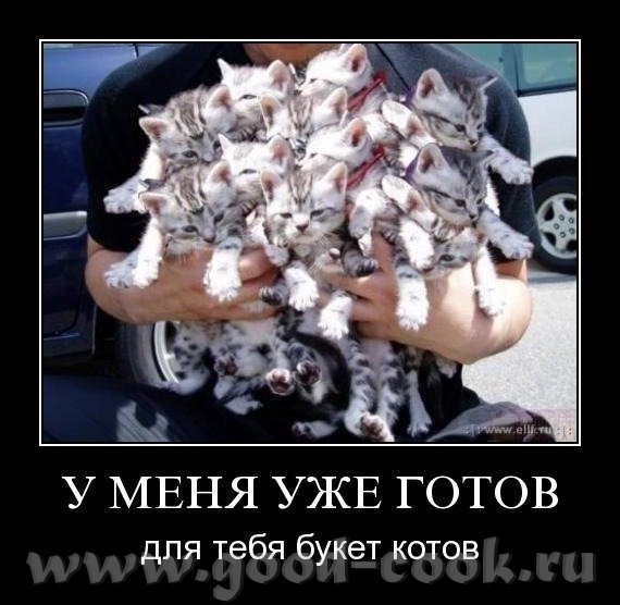 у меня уже готов для тебя букет котов