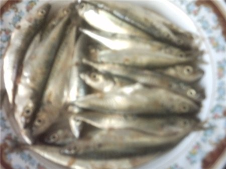 я сегодня купила на рынке мелкую сардину она что то вроде нашей мелкой кильки вот буду готовить её... - 2
