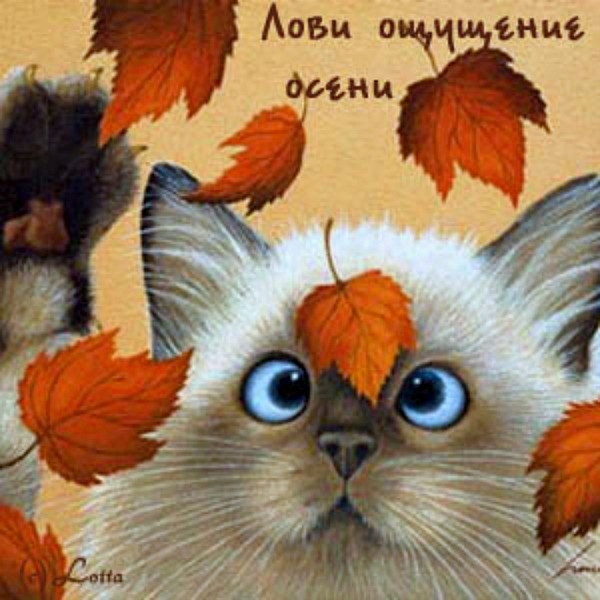 Дорогие девочки, милые-молодые художники вы сами прекрасно знаете, чтобы xорошо управлять кистями н...