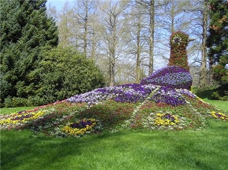  MAINAU ,   ( ),   -  ,  45  - 2