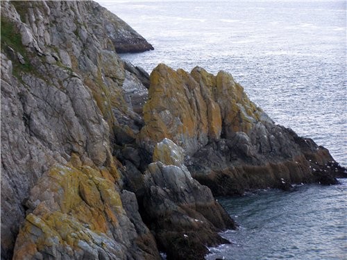 А эта уже побережье в Dublin&#39;e- Howth Head это моя дочка в ,,руки верx,, гуляет - 2