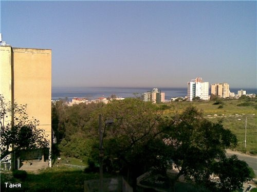Девочки