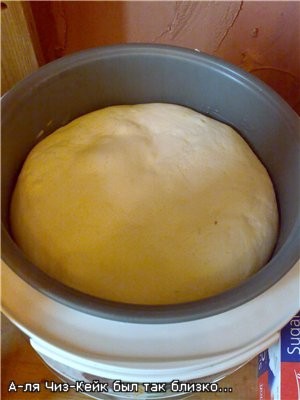 В общем, у меня первый чиз комом На вкус он получился изумительный