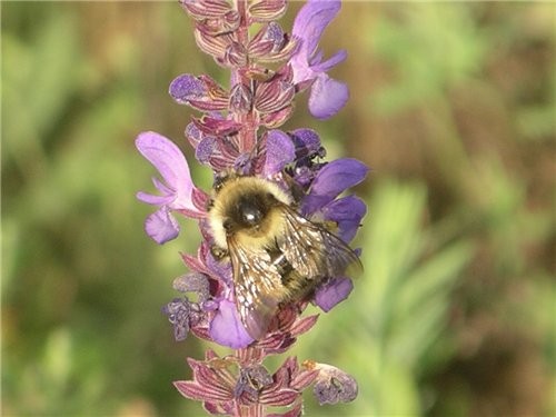  : , ,         ""    ,...