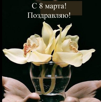 Нелли, поздравляю тебя и твою милую дочку с наступающим праздником весны