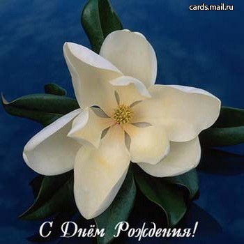 Оксаночка, Пончик, Ruslay, lenhik, Babuka, Spam, Morrilka, Angie2, OlyaMyk,