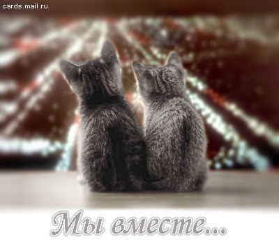 МОЖНО НАЧИНАТЬ
