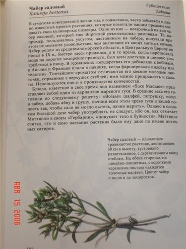 Посмотрела я свою книжку и получается ты права, ЧАБЕР это не ЧАБРЕЦ