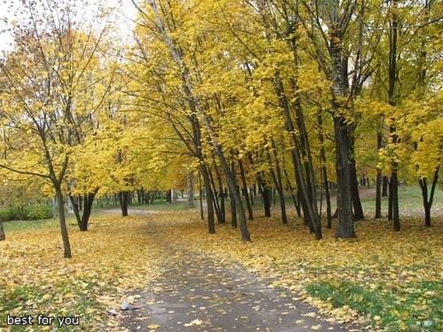 Вот несколько ещё фотографий с парка у нашего дома
