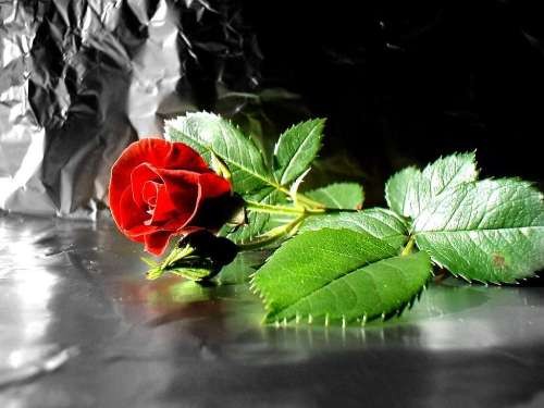 Поздравляю тебя с Днем Рождения