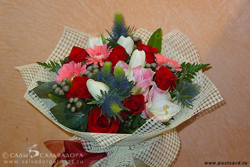 zues, Sveto4ek, TeleWlad, мариетта, Леонорочка, Mak С Днем Рождения