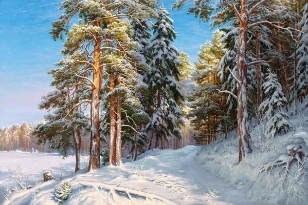 Басов Сергей - 3