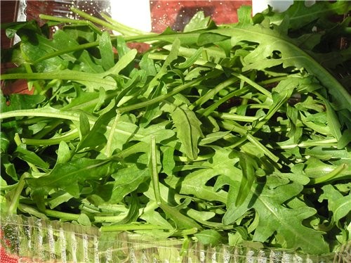 ...     ??        ,   ...