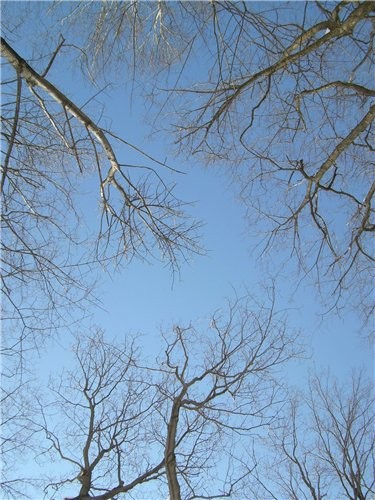 Наша прогулка, мороз с ветром,на солнышке можно загарать, жарко хотя (-14 C) - 8