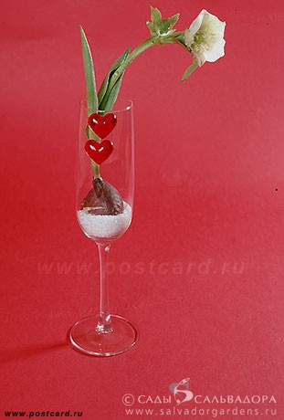 ЮЛЕЧКА