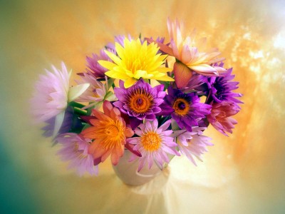 Fern, elenasweety, brizzza, Леха, schmeluk, carry, habibti, Натa, FeliciaPolicia, Mousy, с днём рож...