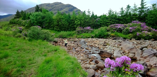 Glennacally river