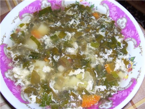 Зелёный борщик с щавелем