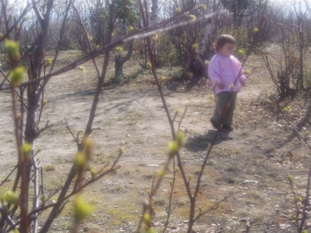 А тут снова день рожденье, и снова дочери моей подруги ))) На этот раз на природе праздновали - 2