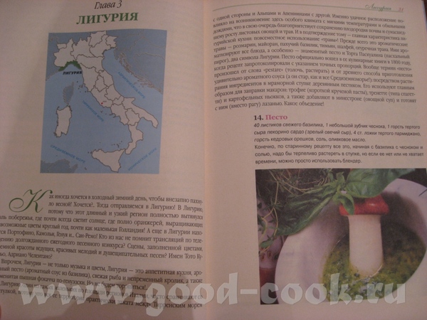 книгу Юли Некоркиной не держала - 3