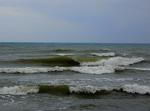Рики, Ринна, Станислава, buenavista, luchsveta, light225 Девочки всем спасибо, вчера ездили на праз... - 2
