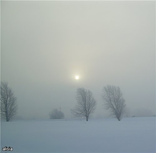 Canada , ,  - 4