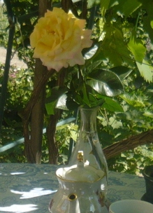 роза
