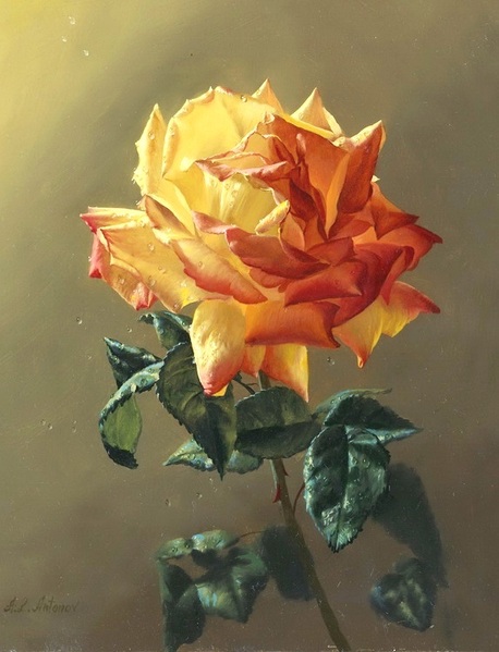 Роза Антонова