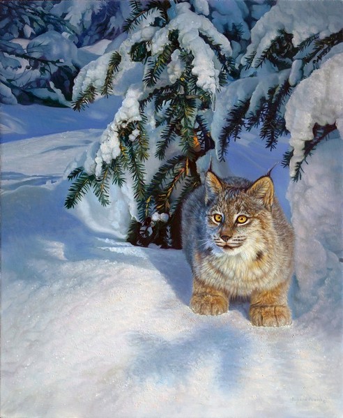 самоучка